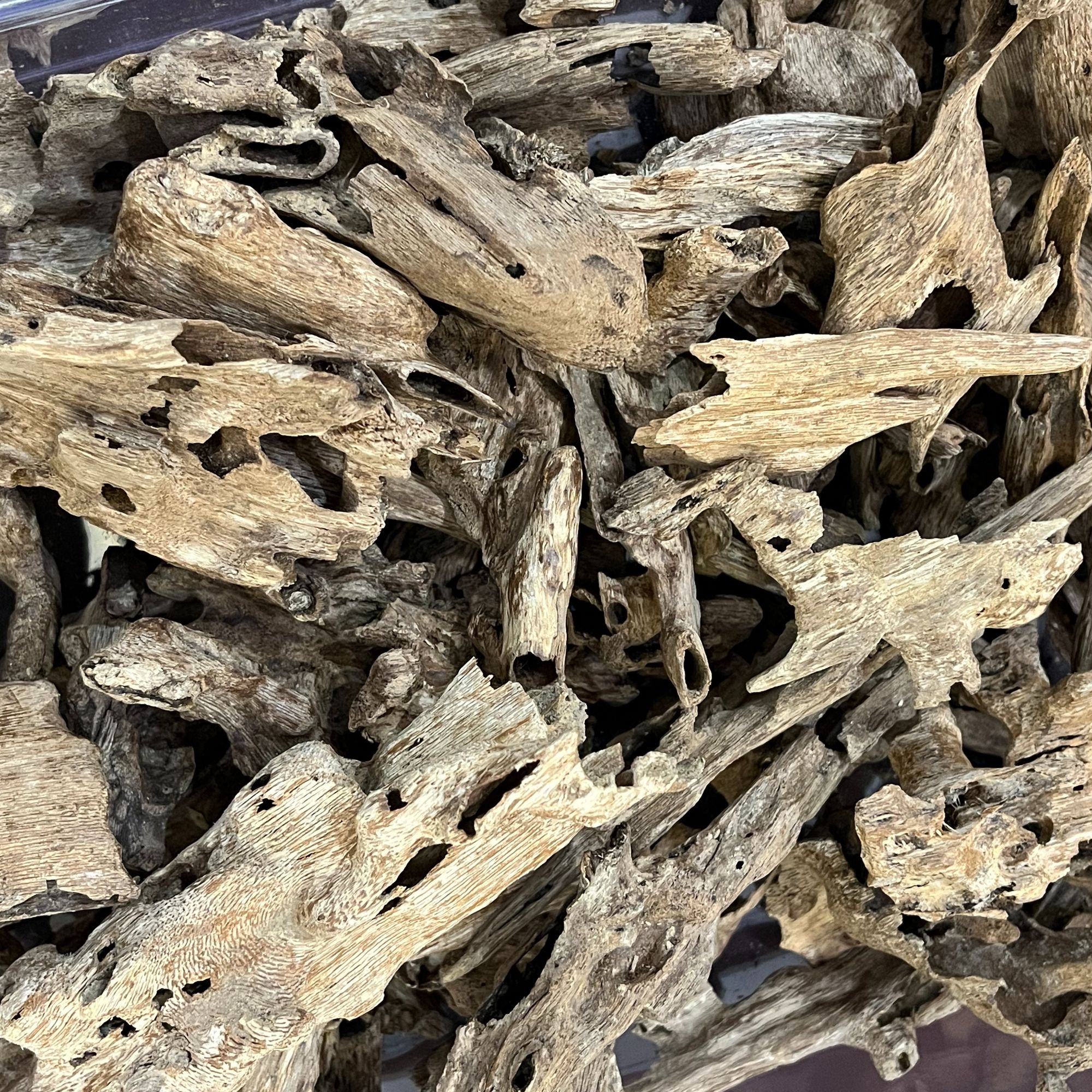 海南尖峰岭奇楠虫漏原料多样性发货称5克