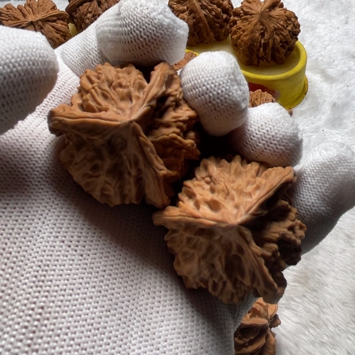 把件桃核H**生盘山三棱