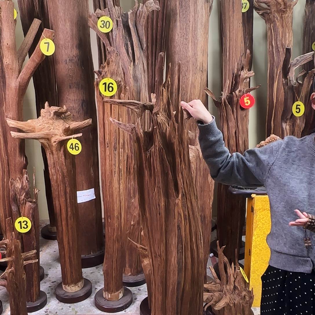 沉香沉香碎屑夏**语天然沉香原材料香料