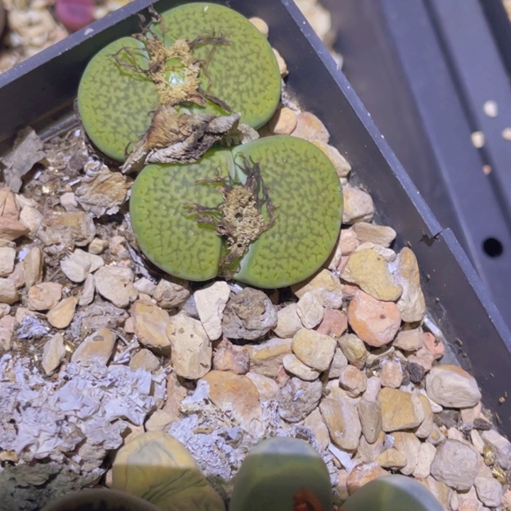 48889885788887880888888