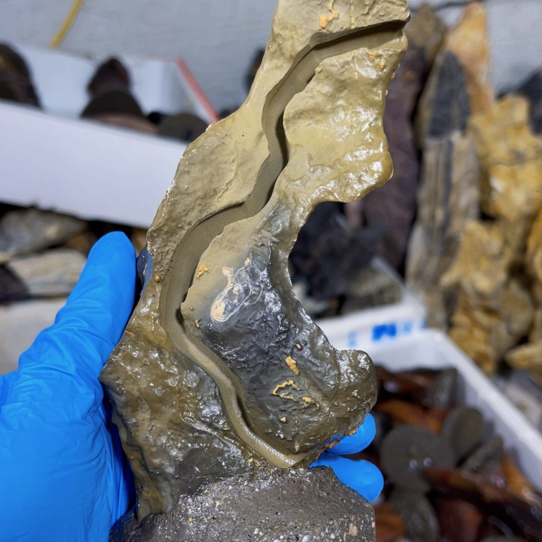 心***劫附石盆景一物一拍