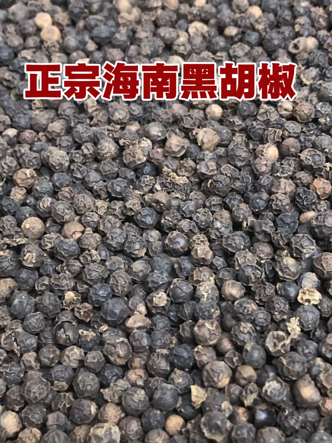 正宗海南黑胡椒颗粒各种佳肴的好调料海南原产地发货