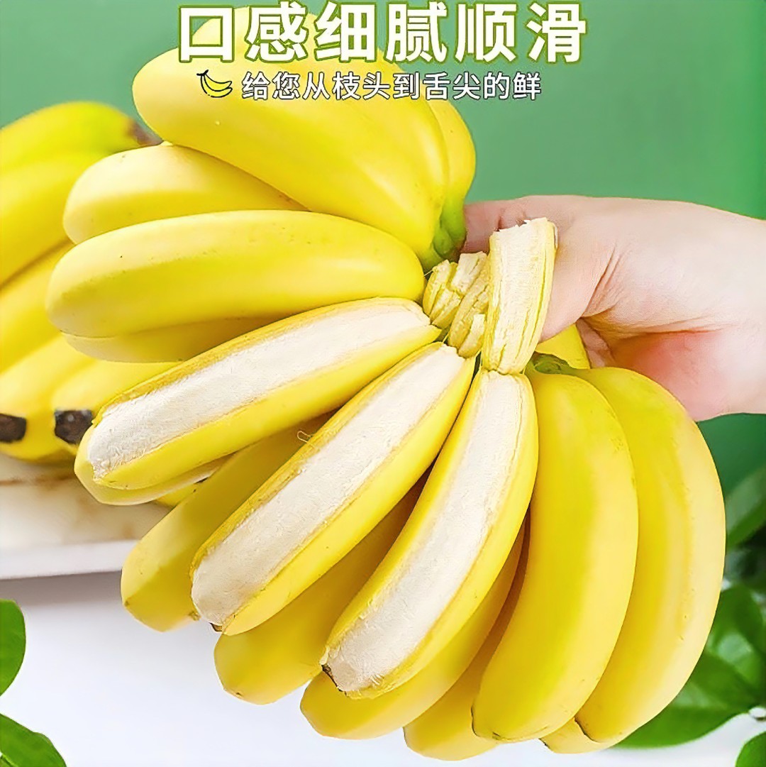 广西高山甜香蕉到手【净重5斤】当季新鲜热卖水果香甜软糯芭蕉包邮