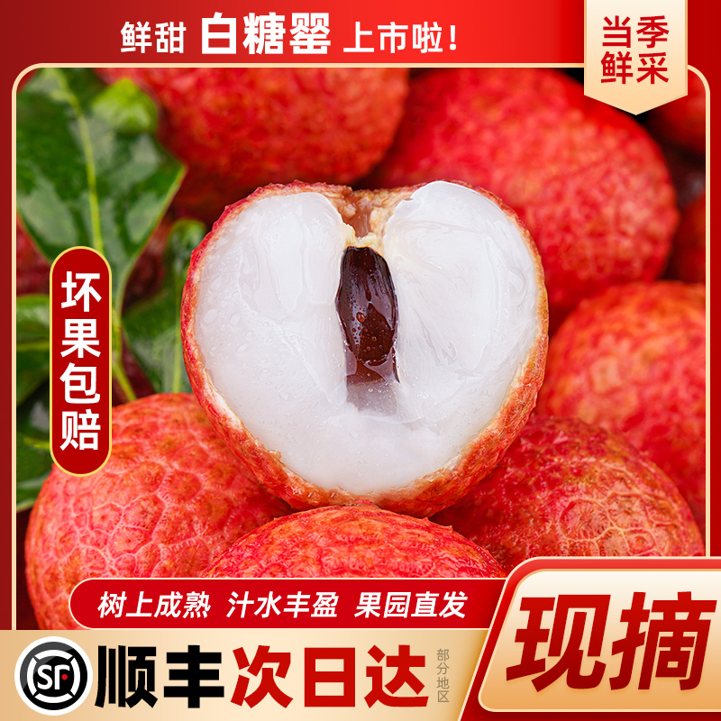 【次日达】高州白糖罂荔枝1斤/3斤/5斤/顺丰次日达精选老树果荔枝同城送