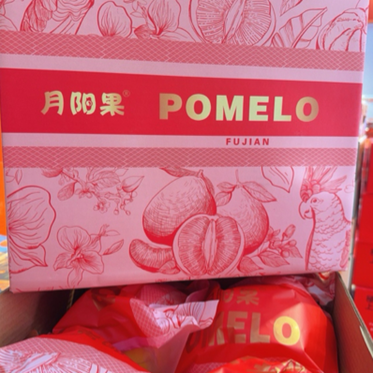 月阳红柚一箱4粒