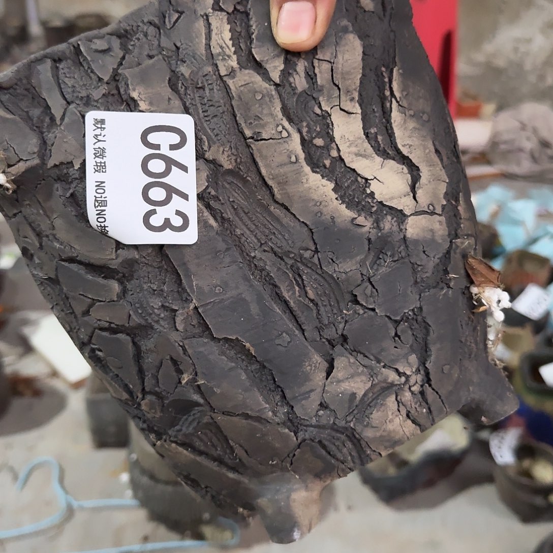 重庆小燕子陶瓷欢迎大家663