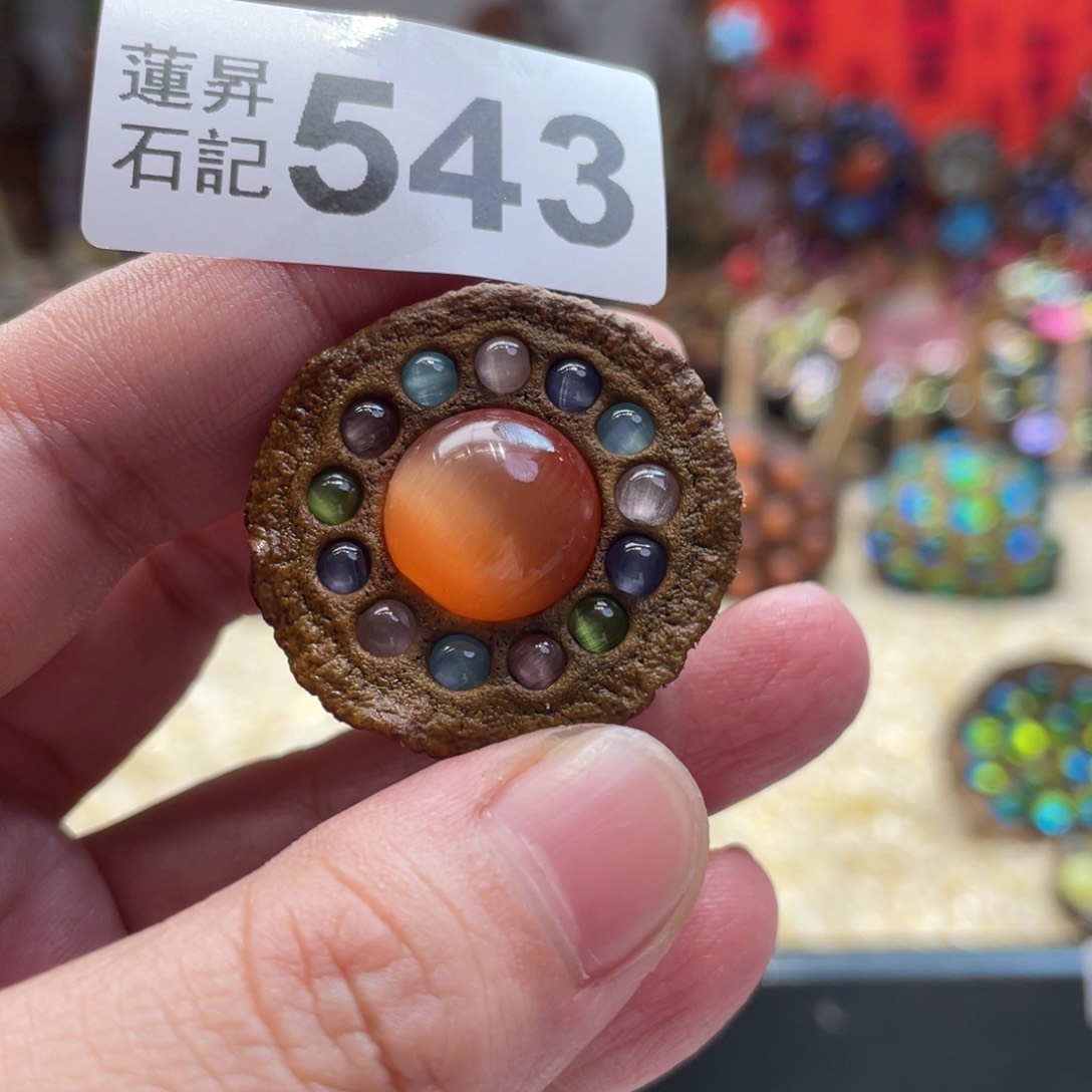 核桃木/黑胡桃（胡桃木）543