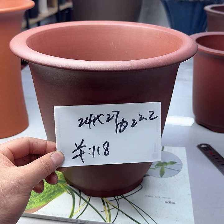 紫砂222222222222222