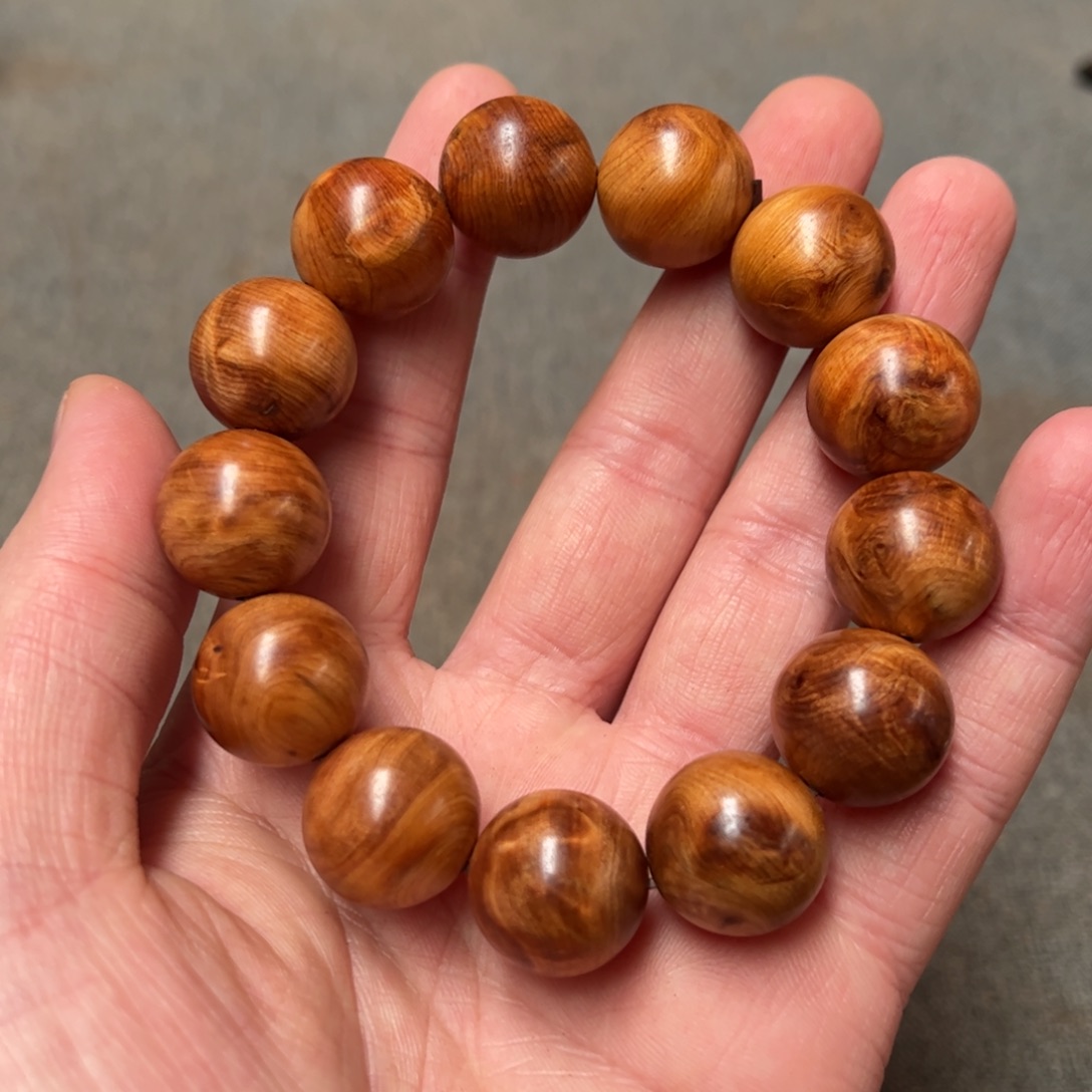 柏木（崖柏）北太行陈化崖柏