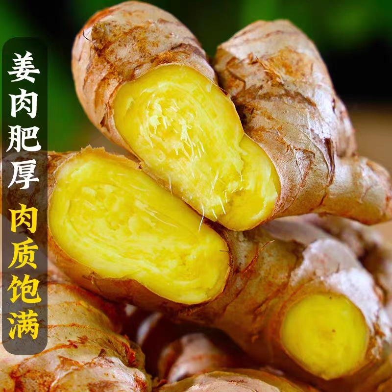 高山新鲜现挖肉姜黄姜产地直发姜味辛辣十足