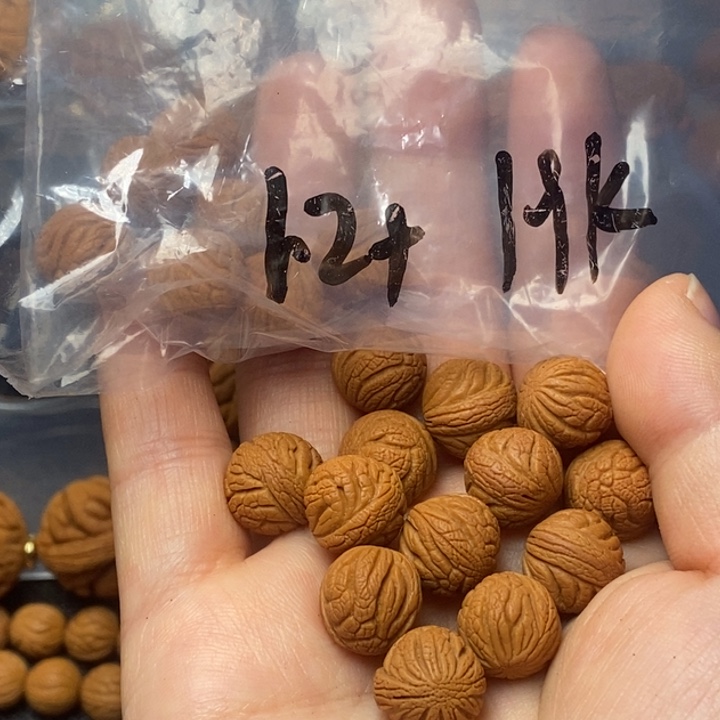 吊坠桃核秦岭山野生桃核