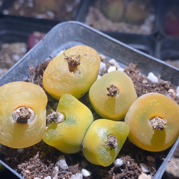 24188一组一组一组