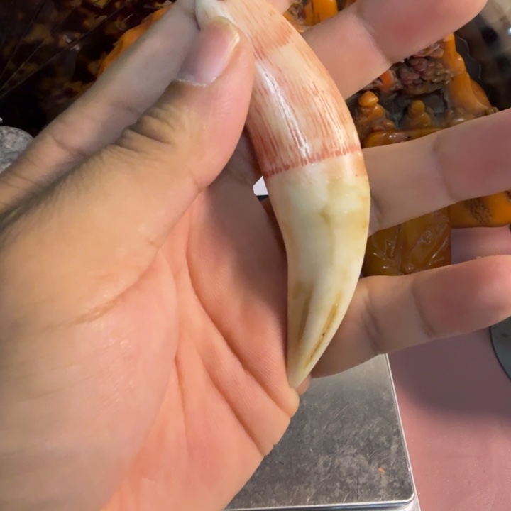 陶珍藏收藏专拍链接 