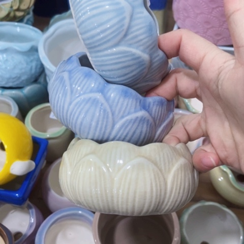 红陶陶瓷多肉花盆