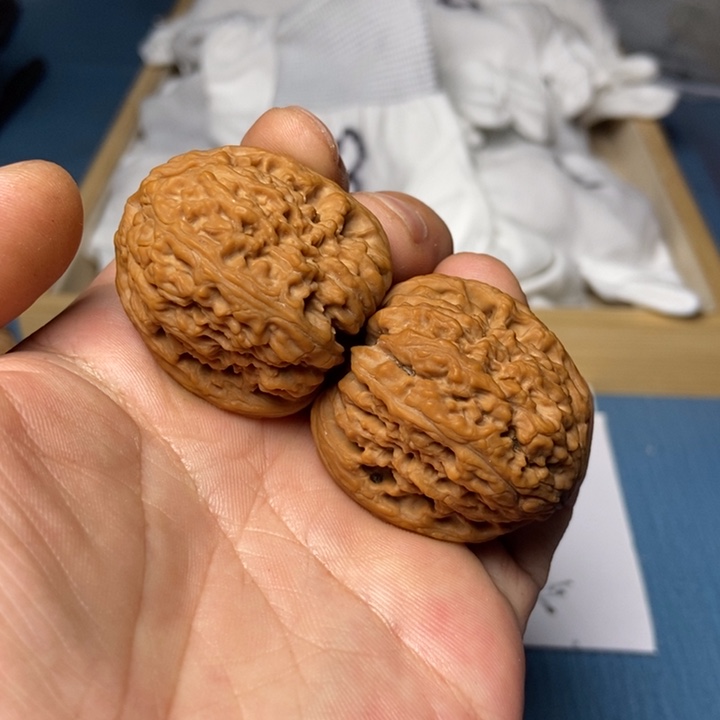 把件文玩核桃7号核桃