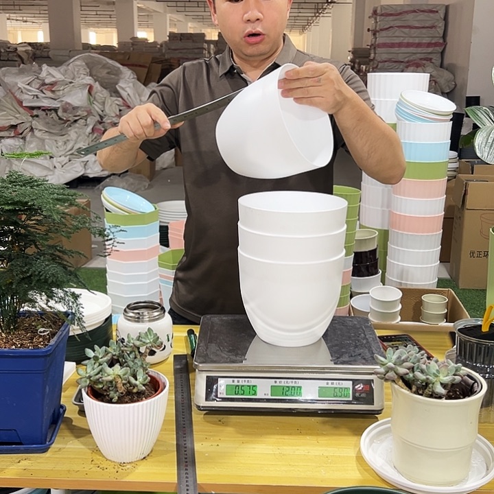 鸡蛋口19高17白色4个无托