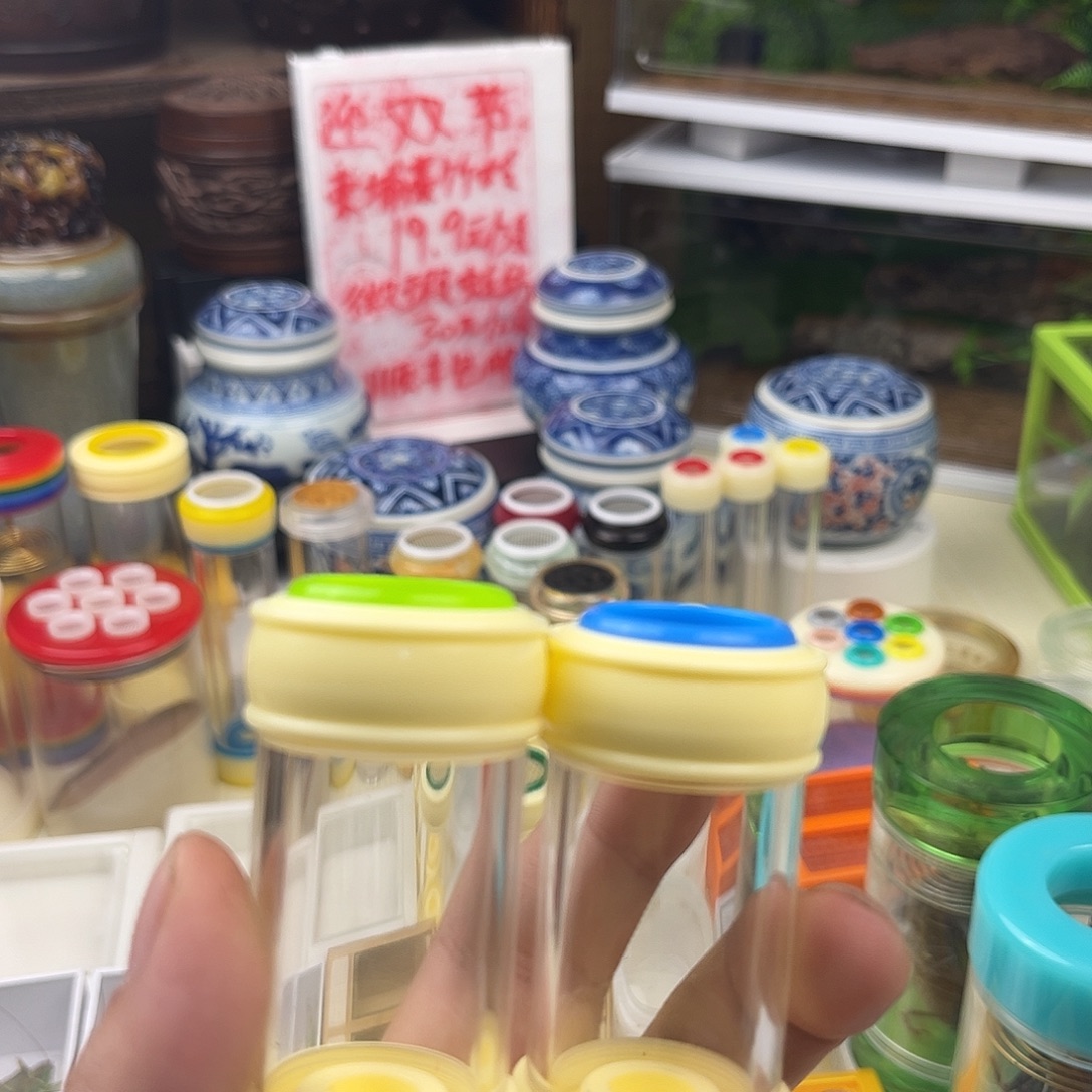 孙***哥两个掌中宝竹蛉桶三柬竹