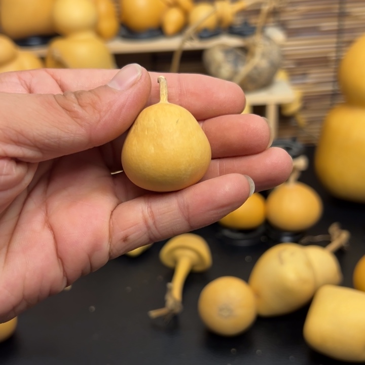 人****^15666955268669999