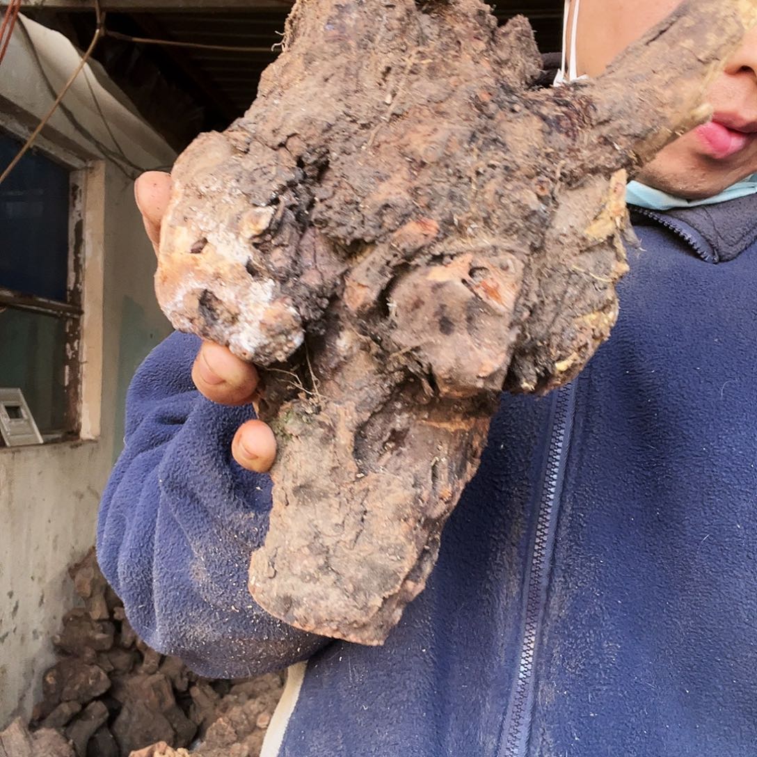 默***言无花朵000000000000312