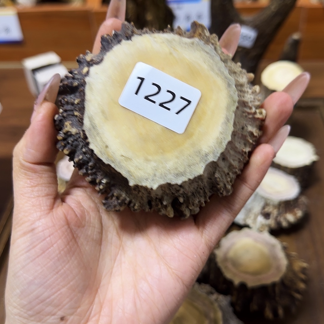 手串/手链鹿骨1227角帽