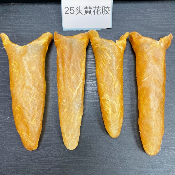 25头精选黄花胶日常滋补佳品可直播称重孕妇月子滋补送礼佳品