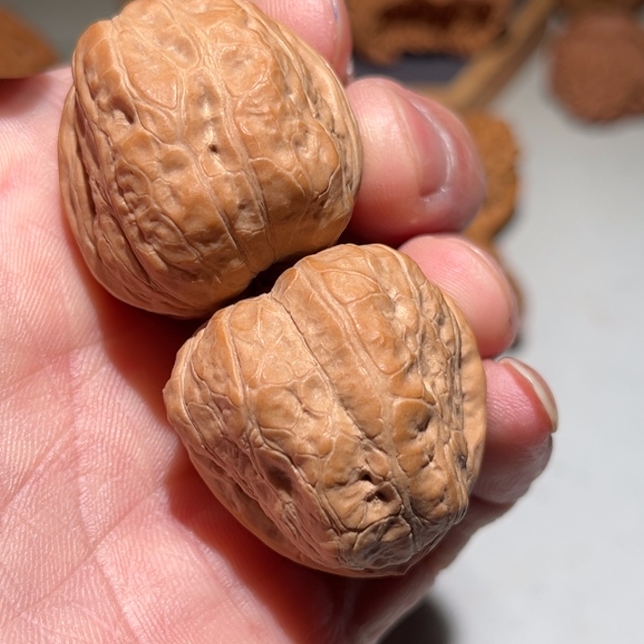 把件文玩核桃玉蟾36.5