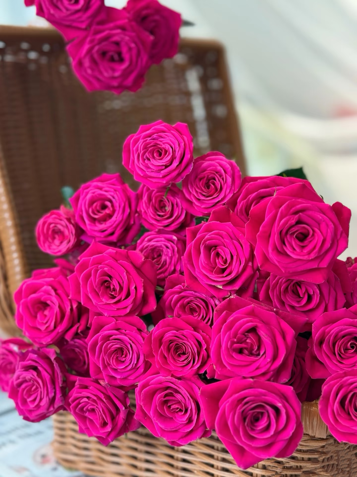 【弗洛伊德玫瑰】全场任意满两单及以上鲜花包邮发货鲜切花