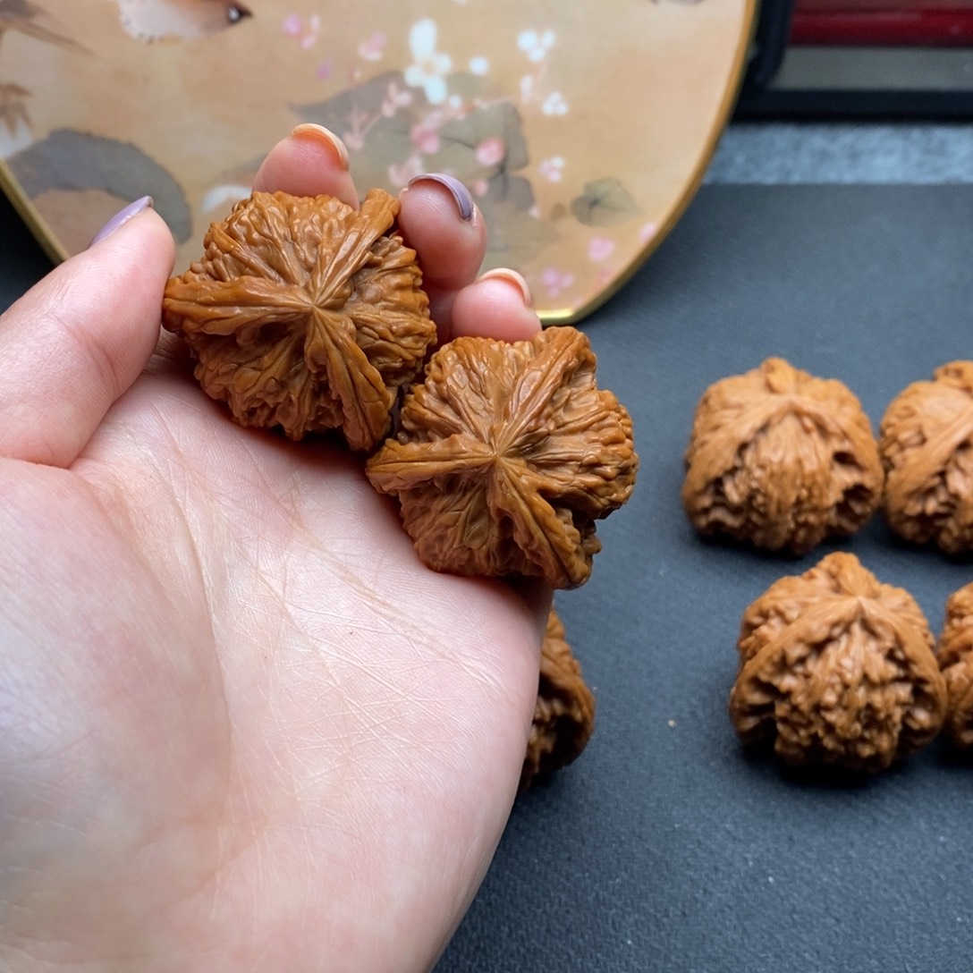 M**Q白狮子111111111111