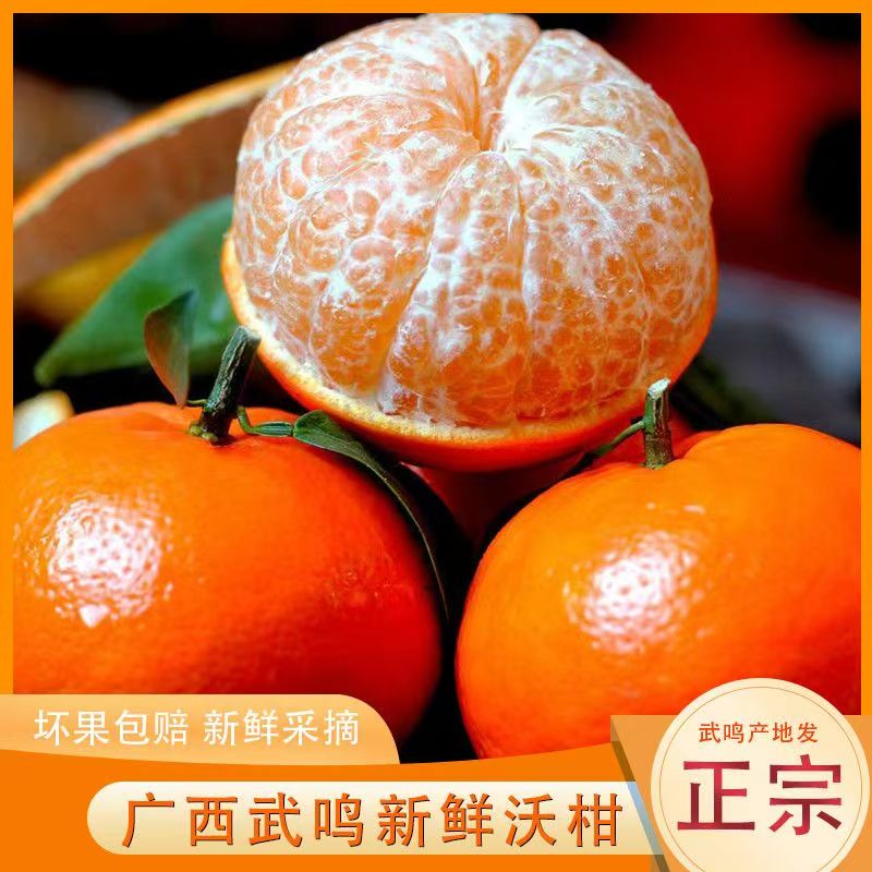 【德邻雅叙专属】广西武鸣沃柑新鲜现摘皮薄多汁香甜橘子水果Q