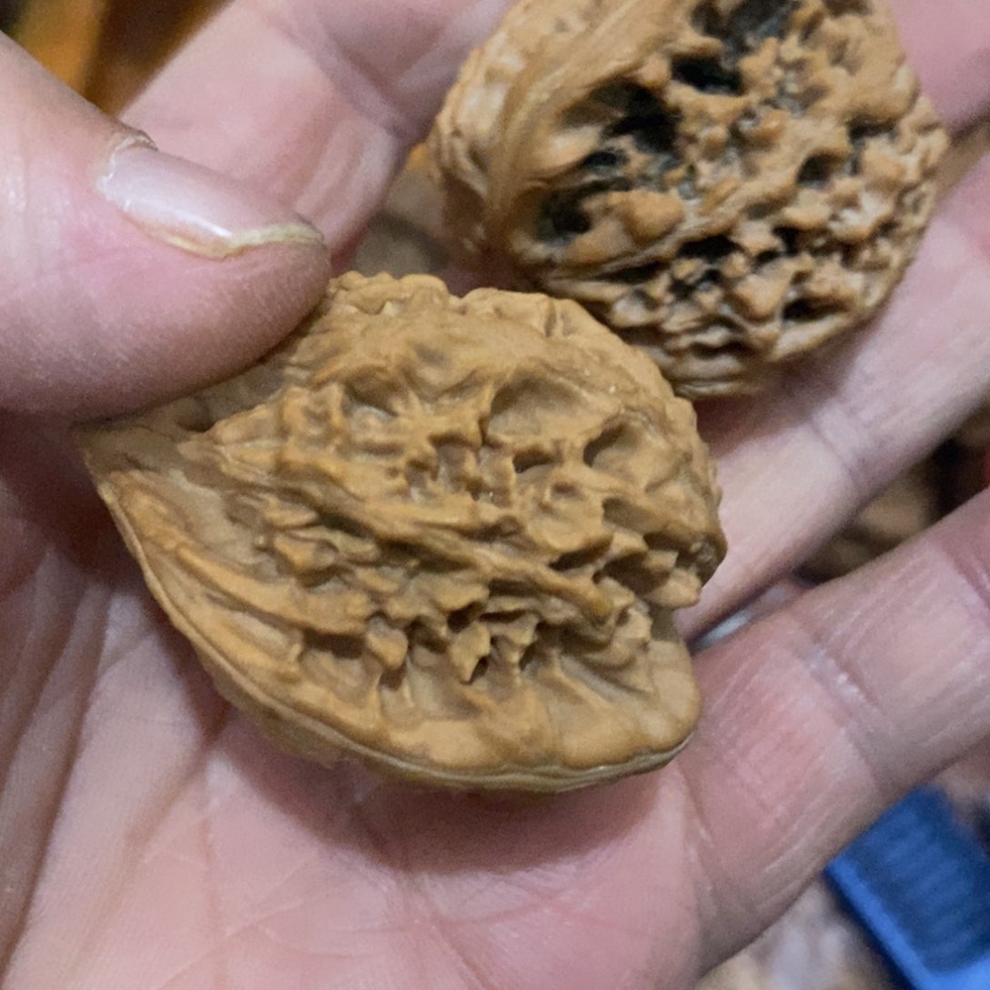 创**间秦岭南北区有什么地方需要