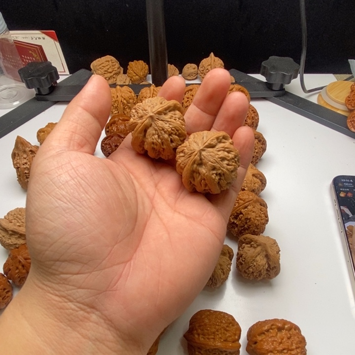 凯***文40全品毕业对小粗筋