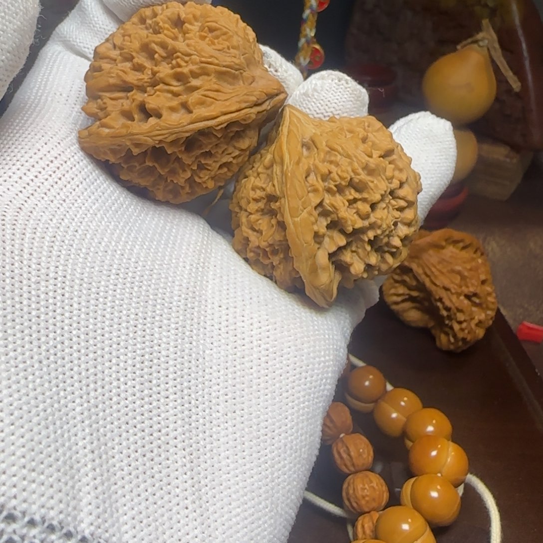 文玩核桃把件满天星（龟背）