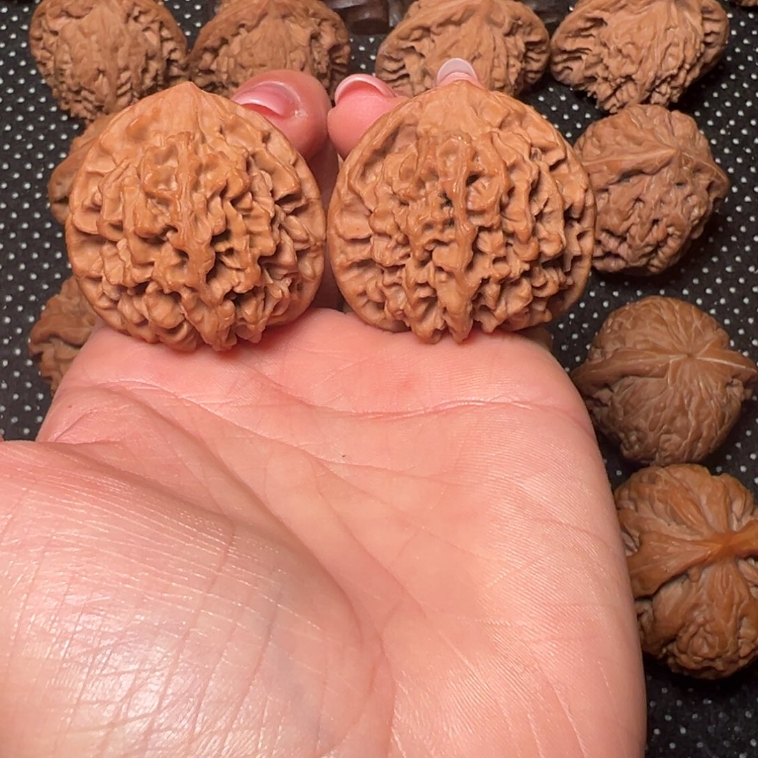 欧***哥秦闷，38➕，全品无修