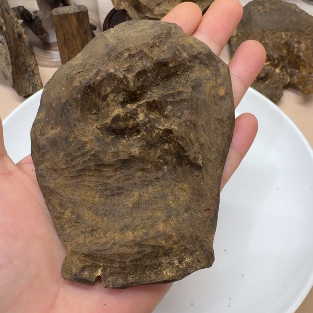 沉香沉香碎屑陆河一代苗据盒20.5克