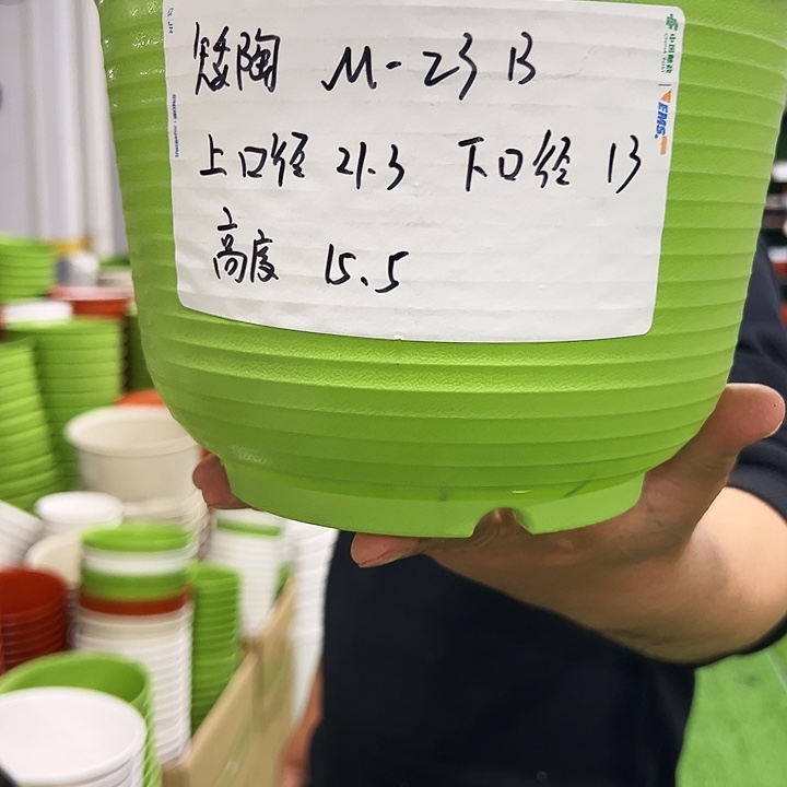 正品矮陶口21高15白色8只无托