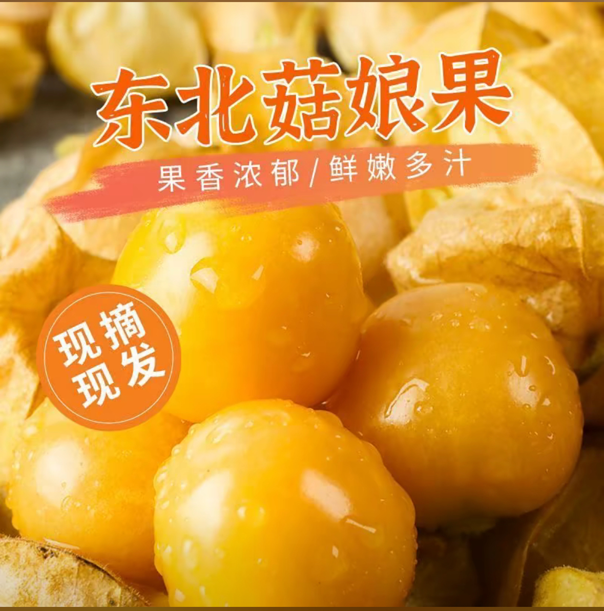 黑龙江头茬新鲜姑娘果小金豆品种清甜多汁当季稀有水果（净重发货）