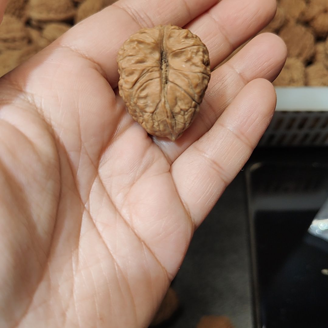 天***你南疆石狮子头一物一图