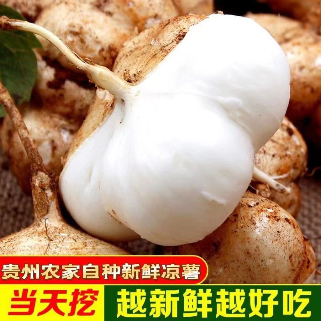 贵州新鲜地萝卜白地瓜凉薯当季水果脆甜多汁水分足