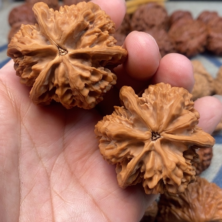 文玩核桃把件五****拓核桃