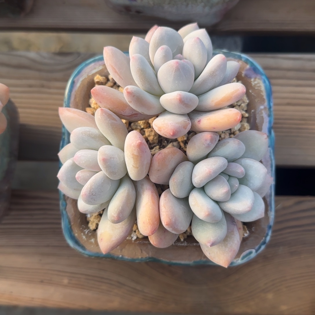 北遇清棚68包邮自行凑单