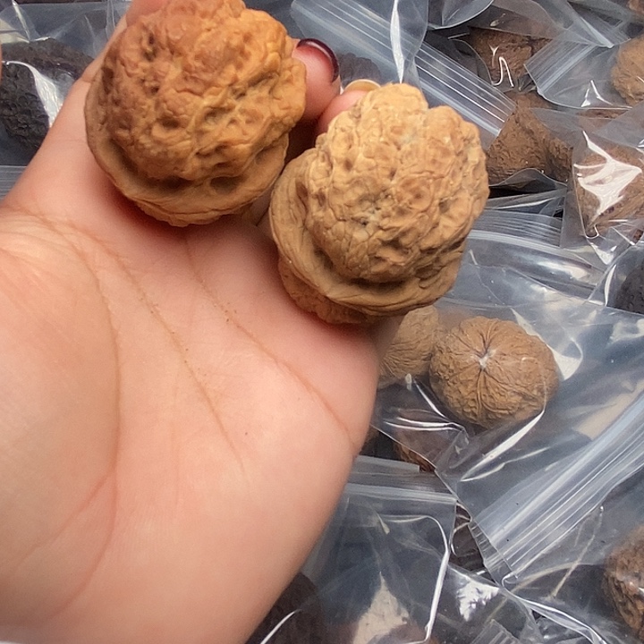 文玩核桃把件25号43mm