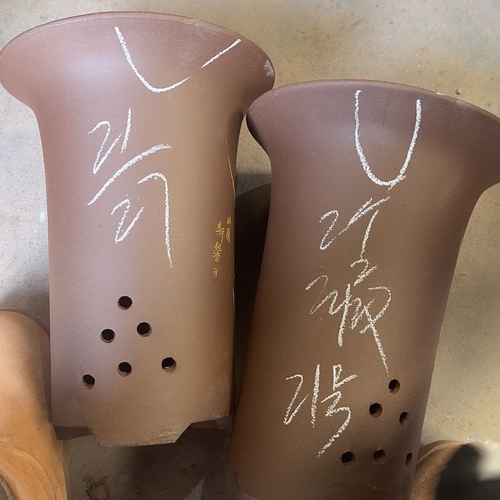 21号………………………………………………