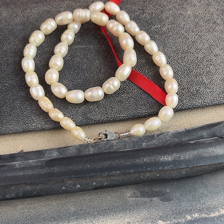 天***帅杂色豆（科檀/科特迪瓦檀木）