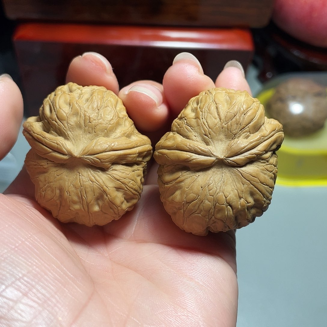核桃手串/手链精品元宝飞蛇