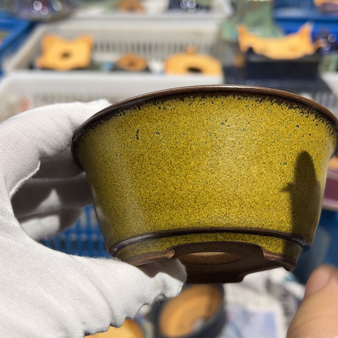 碗觉象原创作品欣赏