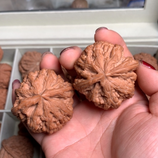 小*哥文玩核桃手把件大粗筋