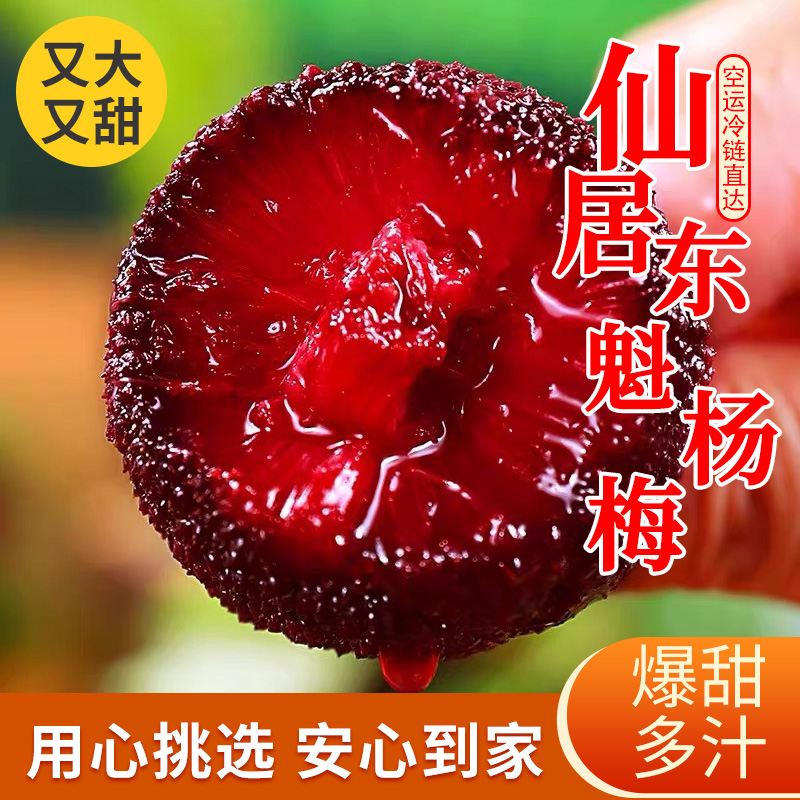 7A仙居大棚东魁杨梅新鲜当季水果颗粒包装现摘现发单果18-23g