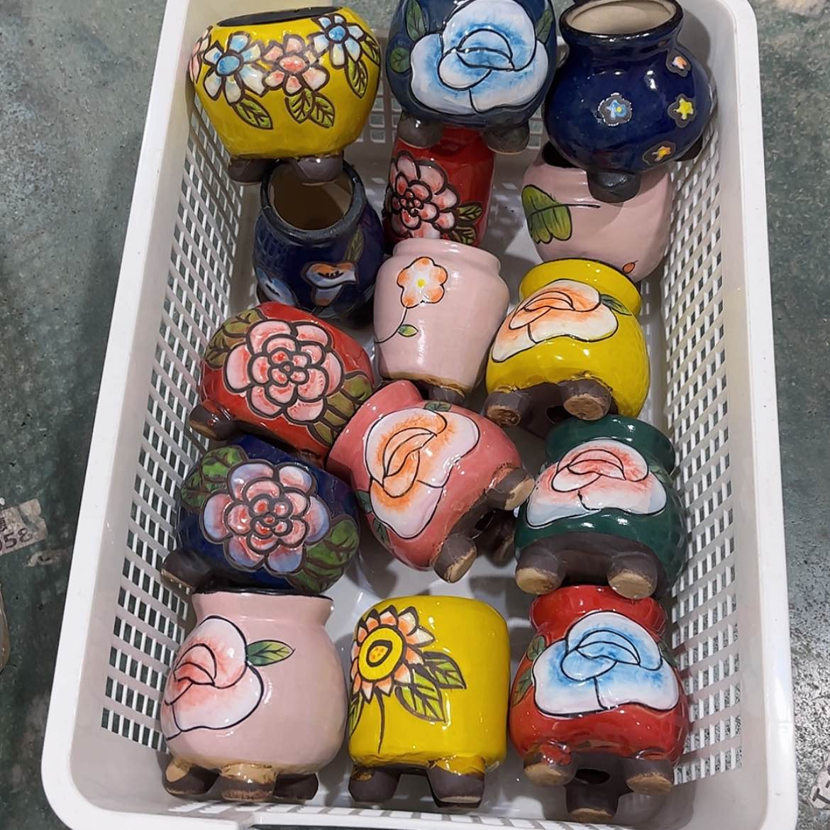 【闪购商品】红陶22155