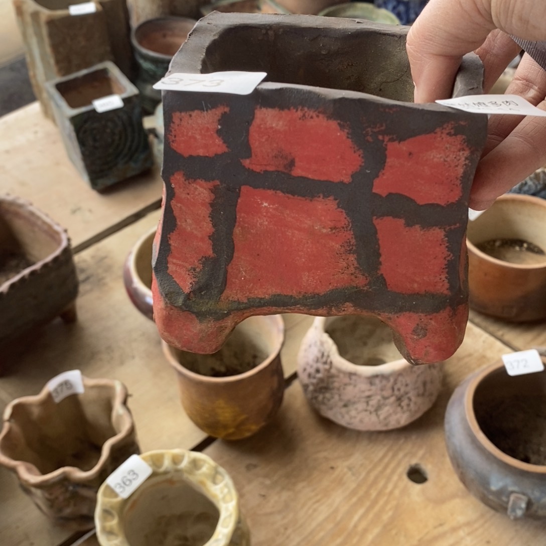 红陶快*14号多肉盆一个呀