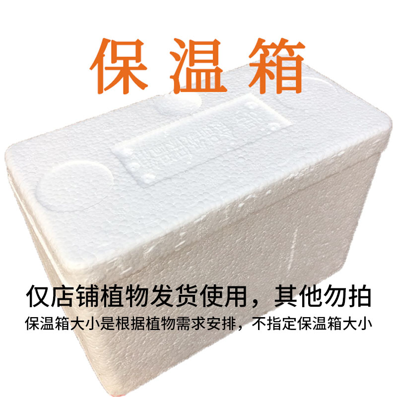 本店植物发货保温箱 零度以下请拍不拍冻伤无售后（植物发货使用）